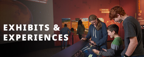 Exhibits and Experiences