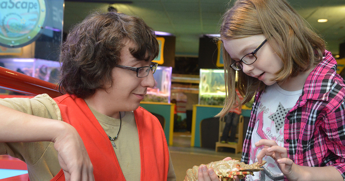 A teen volunteer shows a crustacean to a young girl