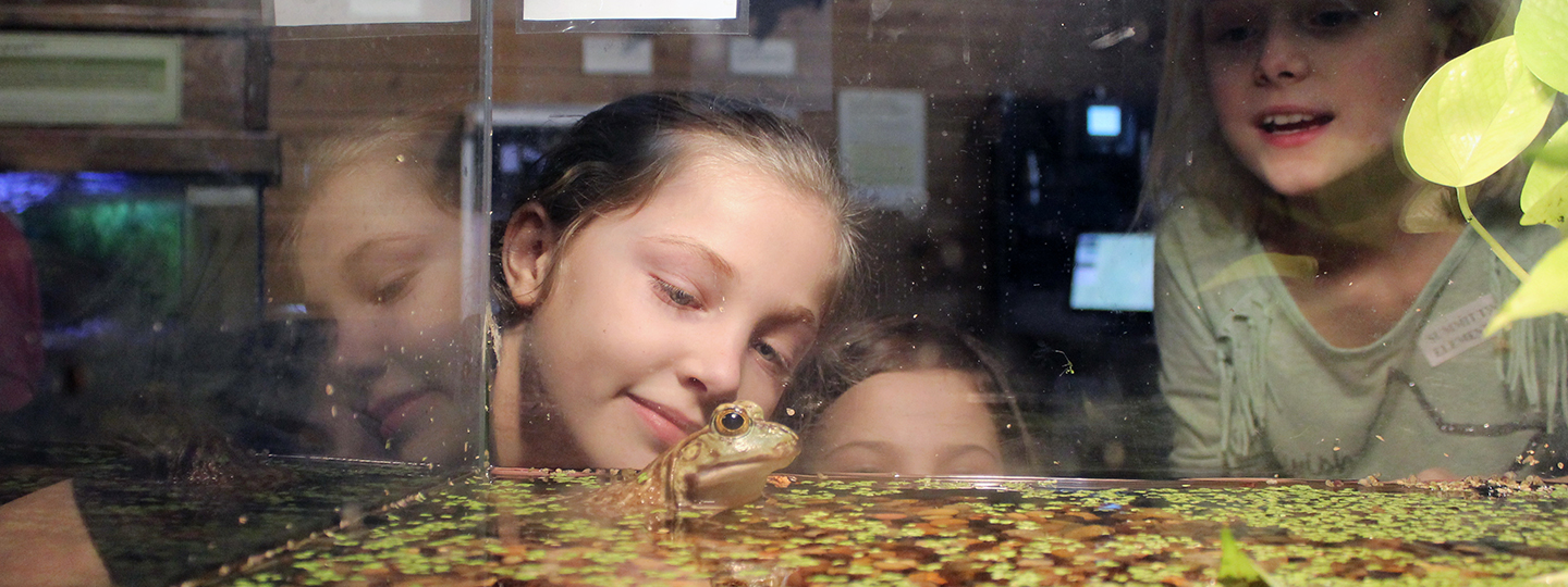 Students gather around the tank of a toad