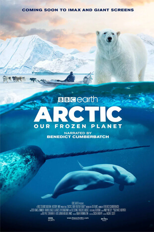 Arctic: Our Frozen Planet (3D and 2D)