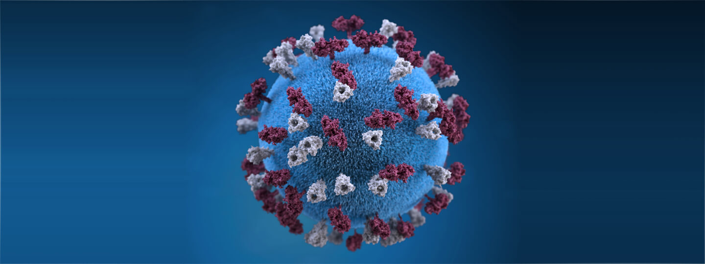 measles virus