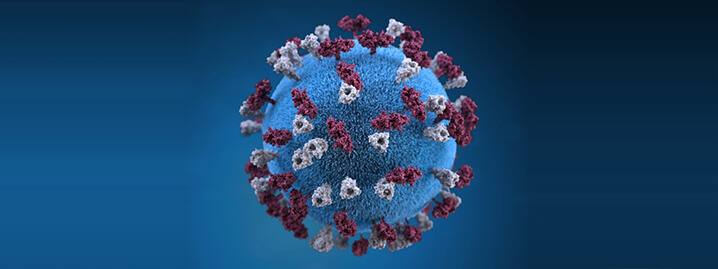 measles virus