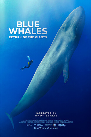 Blue Whales: Return of the Giants (3D and 2D)