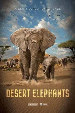 Desert Elephants A Giant 3D Experience