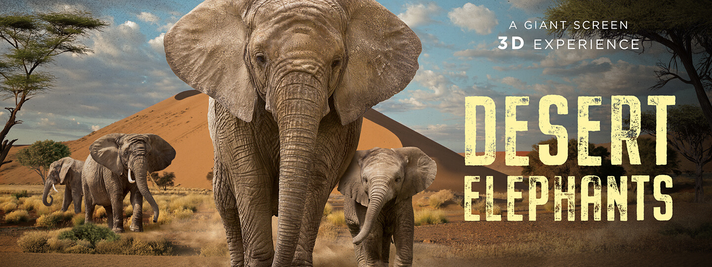 Desert Elephants A Giant 3D Experience