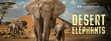 Senior Social: Film Night – Desert Elephants