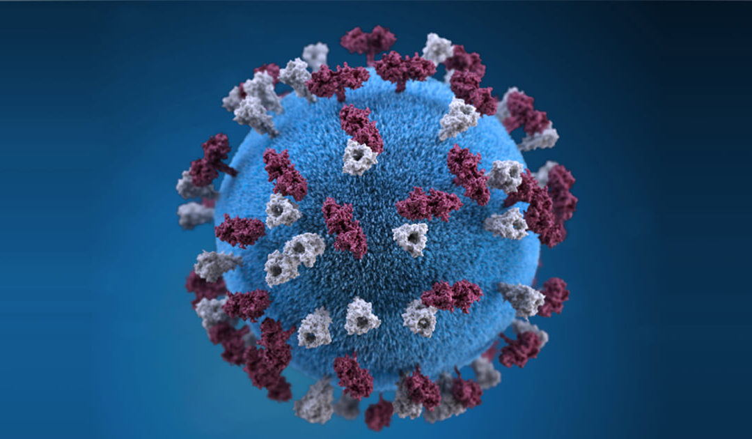 Who Gets Measles and Why Is it Back?