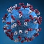 measles virus