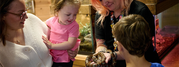 Staff member showing a snake to guests