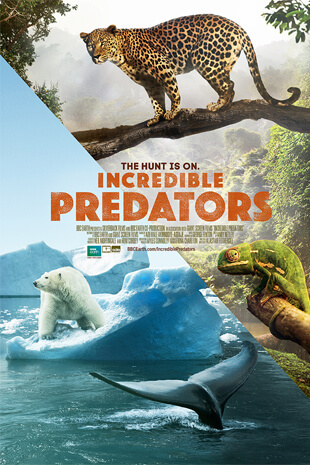 <em>Incredible Predators </em>