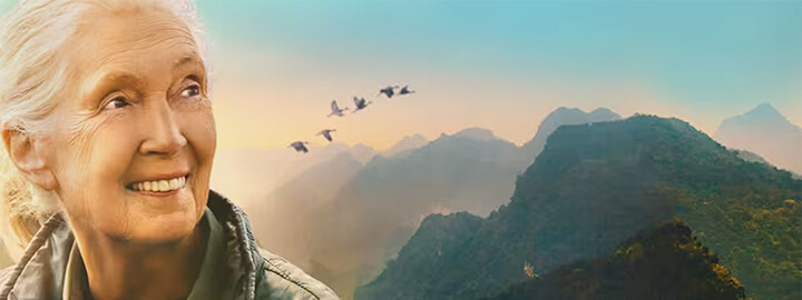 Jane Goodall – Reasons for Hope