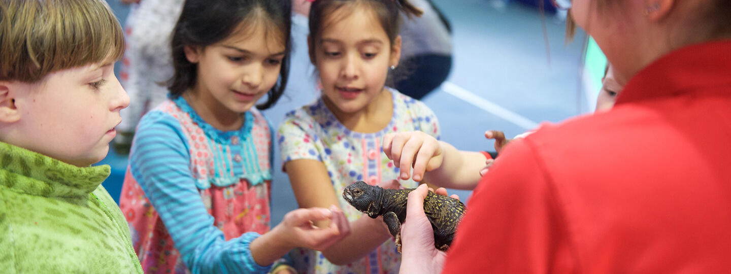 A group of children reach out to pet a live reptile handled by a Science Center employee