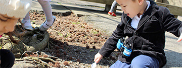 A young child digging in the dirt with a spoon