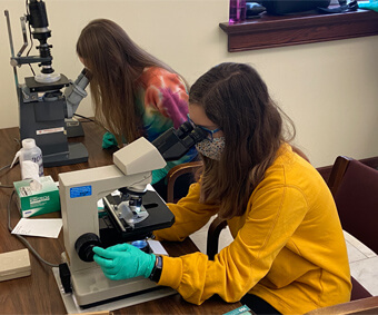 Two young women using microscopes