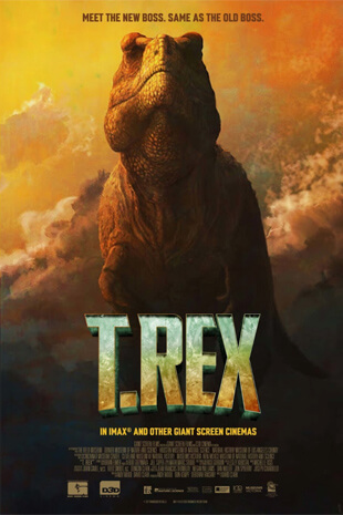 T.Rex (3D and 2D)
