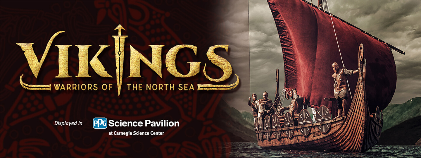 Vikings: Warriors of the North Sea
